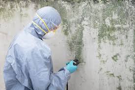 Best Mold Removal for HVAC Installations  in Bensville, MD